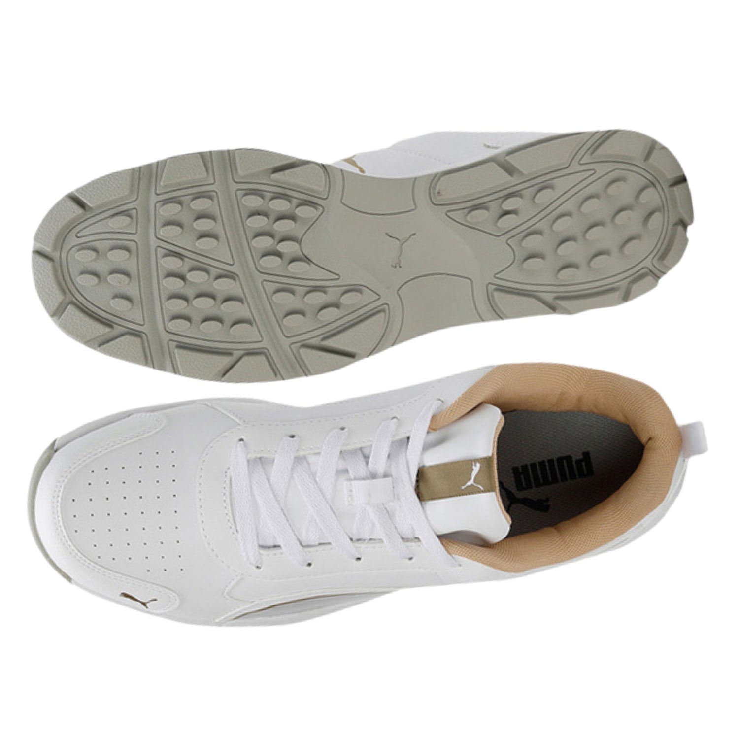 Puma Cricket Shoes, Model Classic Cat, White/Mettallic Gold