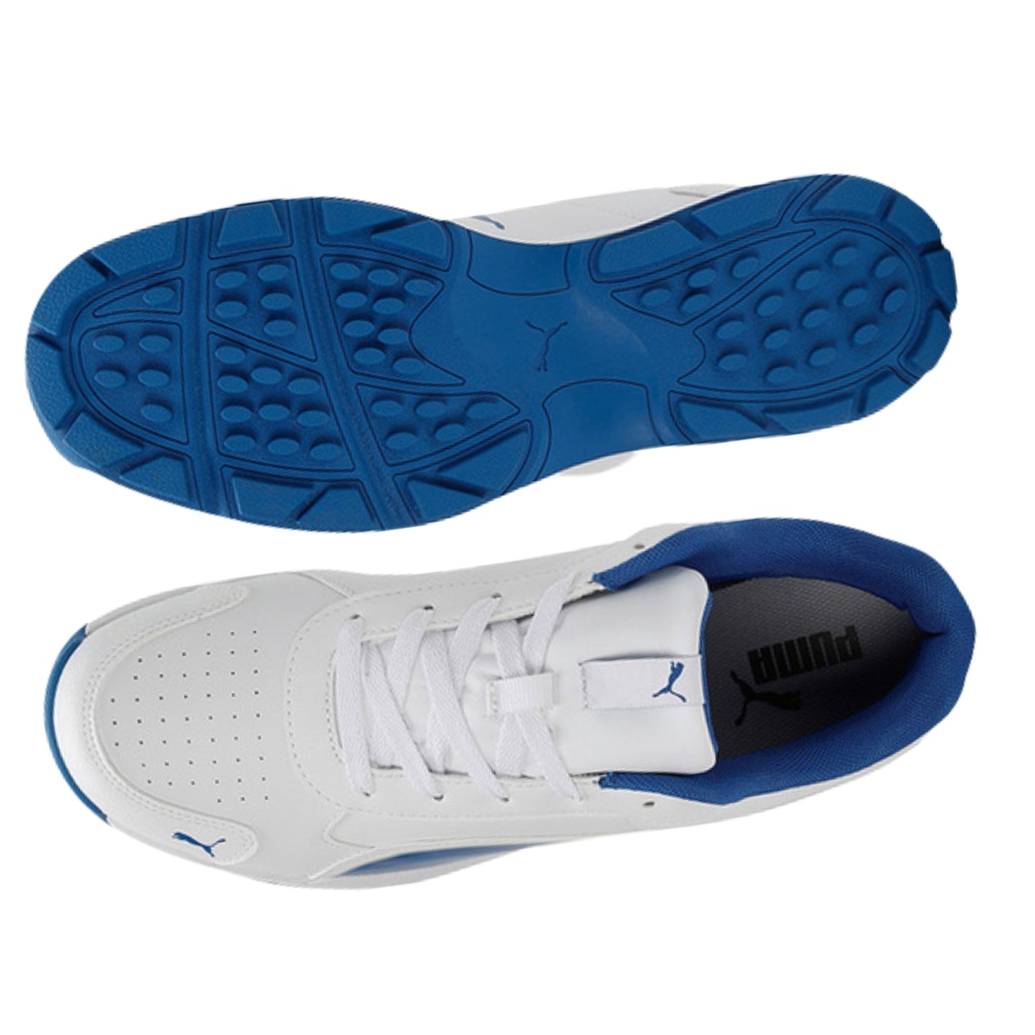 Puma Cricket Shoes, Model Classic Cat, White/Blue