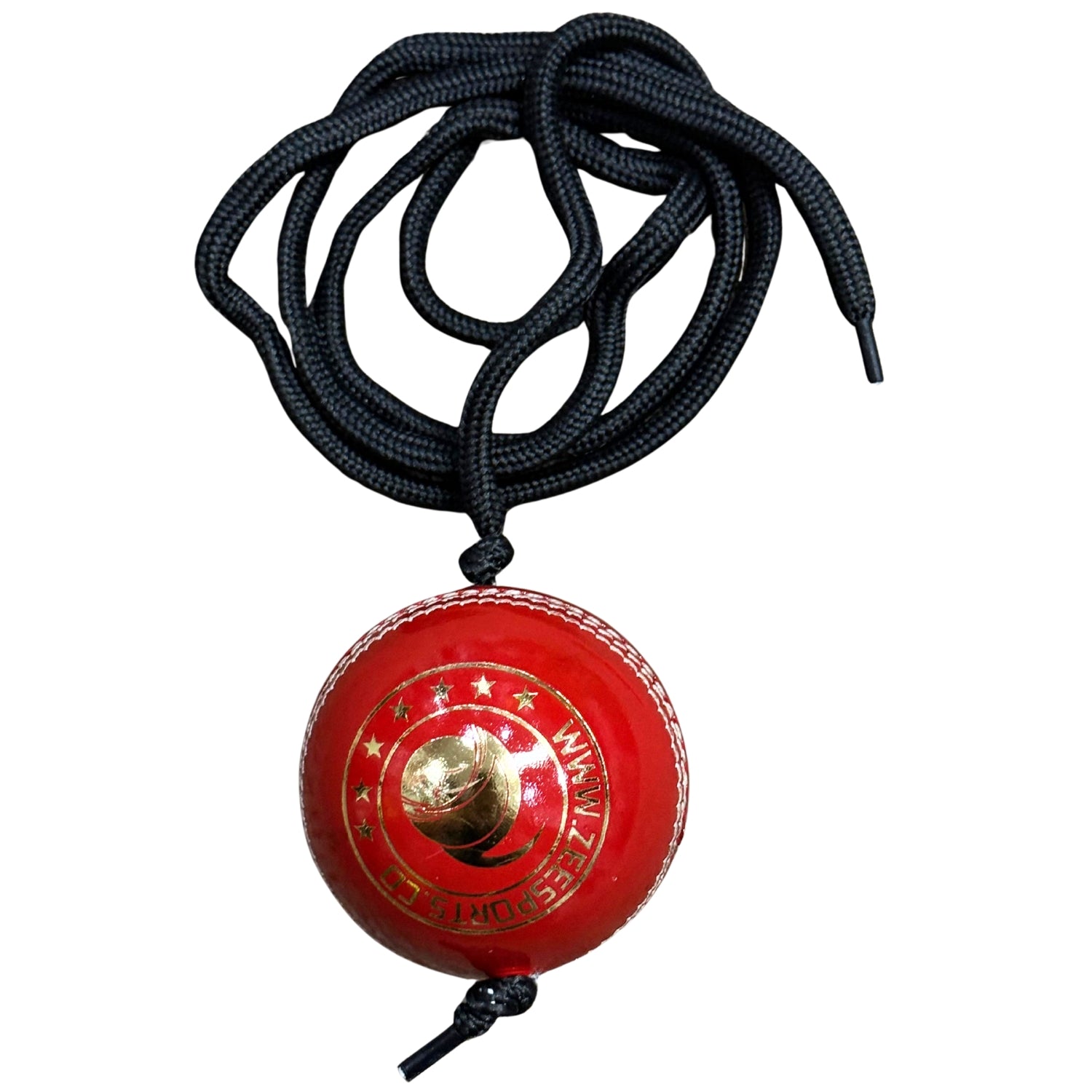 Zee Sports Cricket Hanging Training Ball