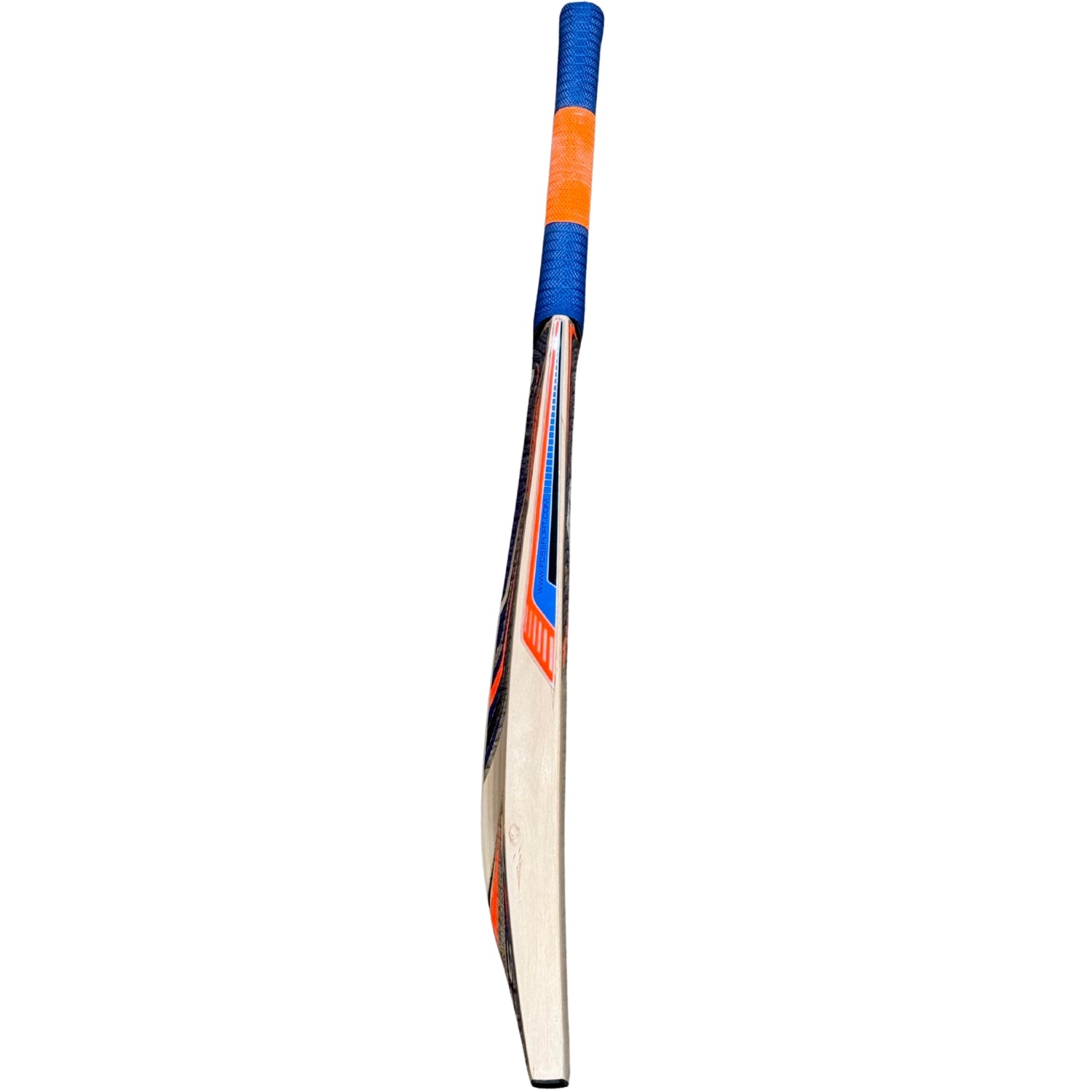 Protos Cricket Bat Cyclone English Willow Adult