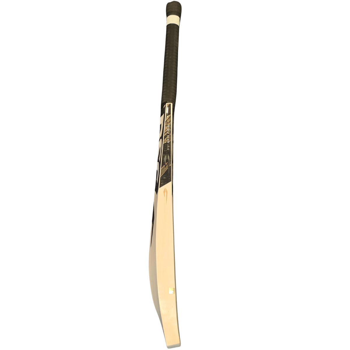 DSC Cricket Bat Blak 222 English Willow SH