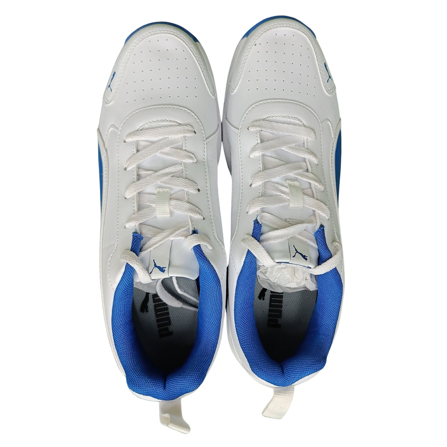 Puma Cricket Shoes, Model Classic Cat, White/Blue