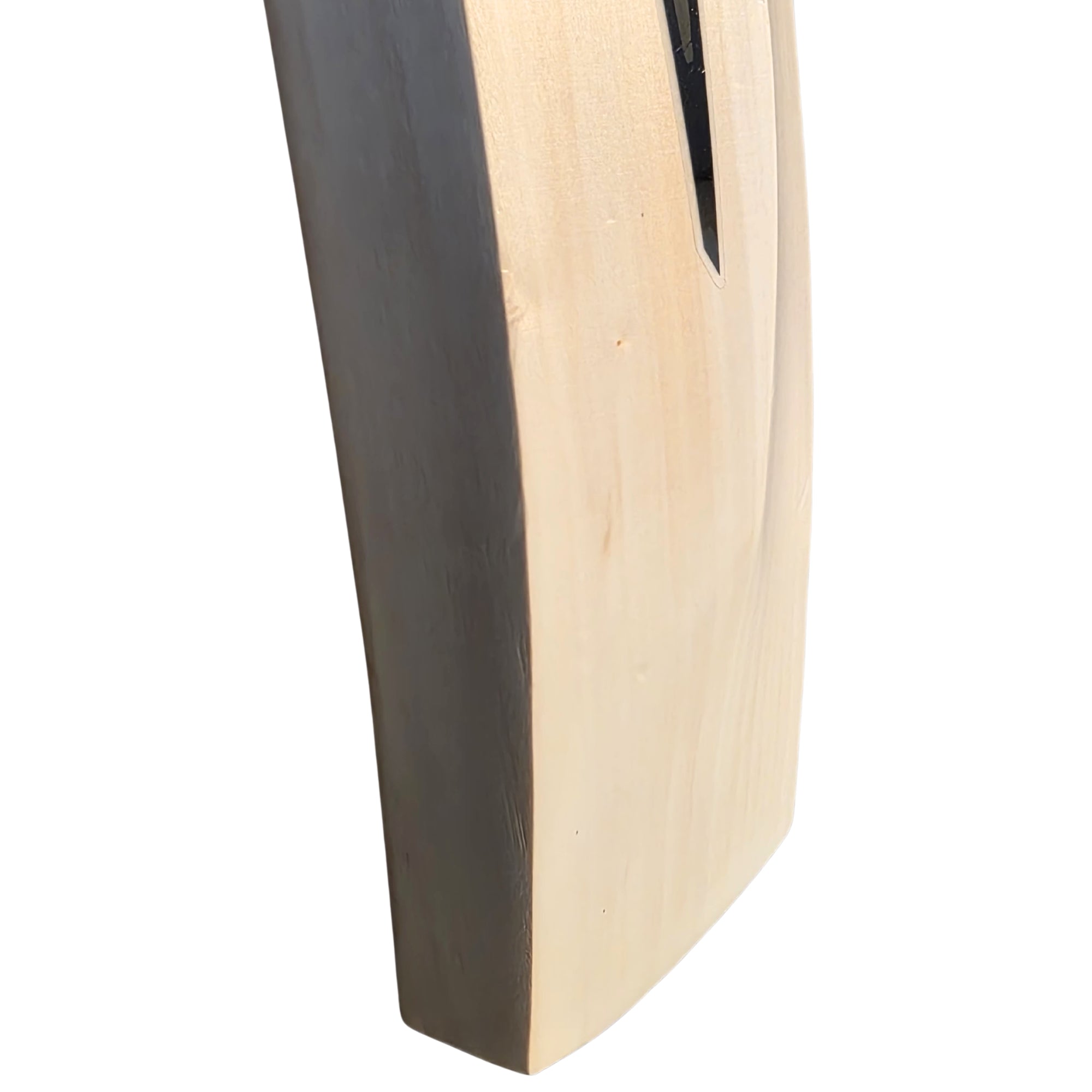DSC Cricket Bat Blak 222 English Willow SH