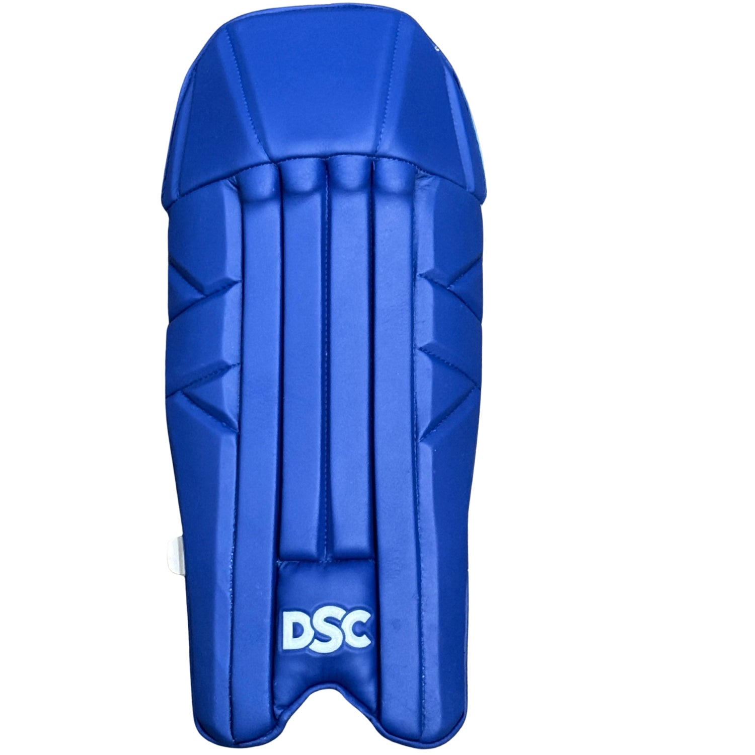 DSC Wicket Keeping Pads Intense Shoc Youth Blue