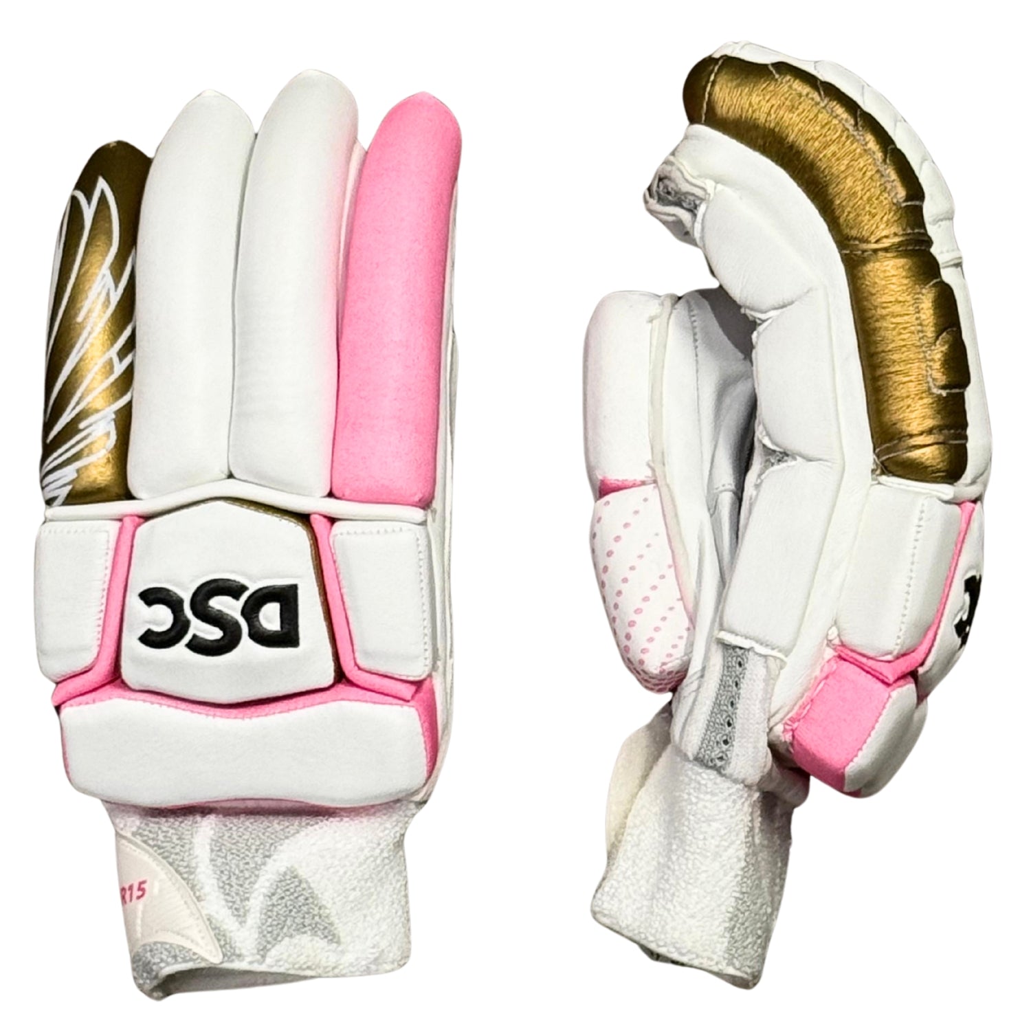 DSC Cricket Batting Gloves Players Edition MR15
