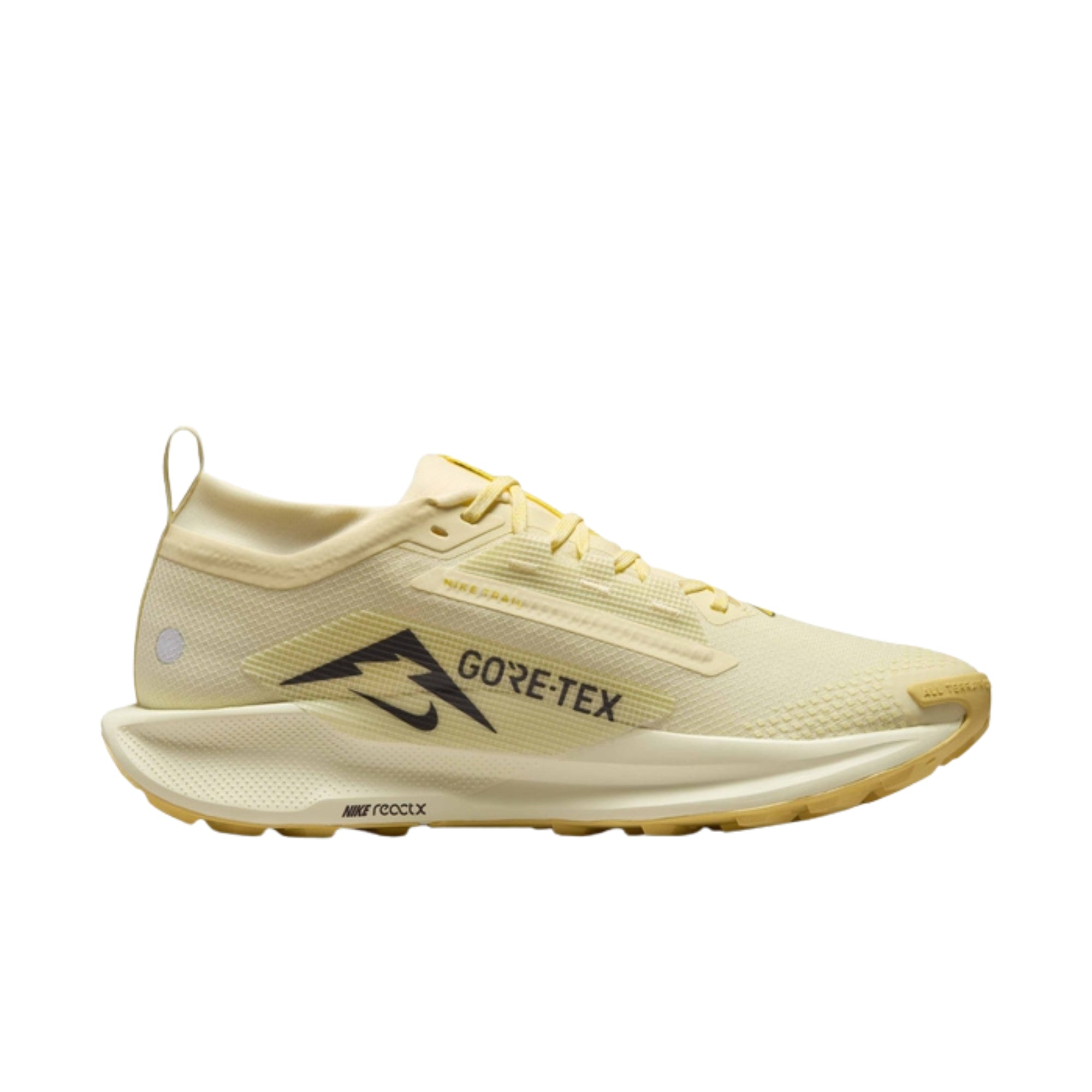 Nike Cricket Shoes Pegasus Trail 5 GORE-TEX