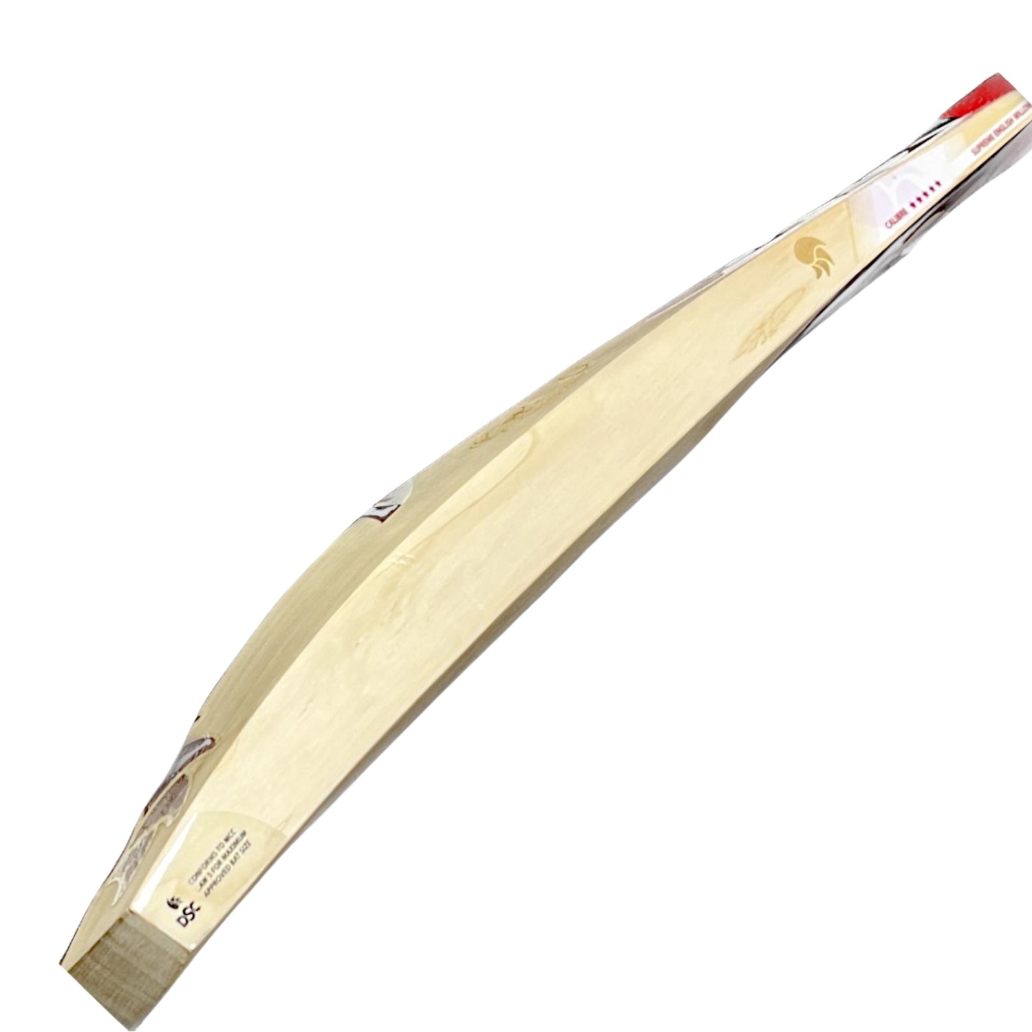 DSC Cricket Bat Flip Rory Burn Player Edition English Willow, SH