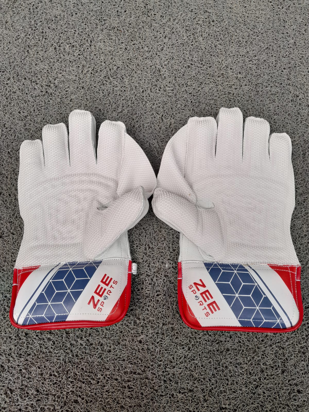 Zee Sports Wicket Keeping Gloves 5-Star Stallion, Adult