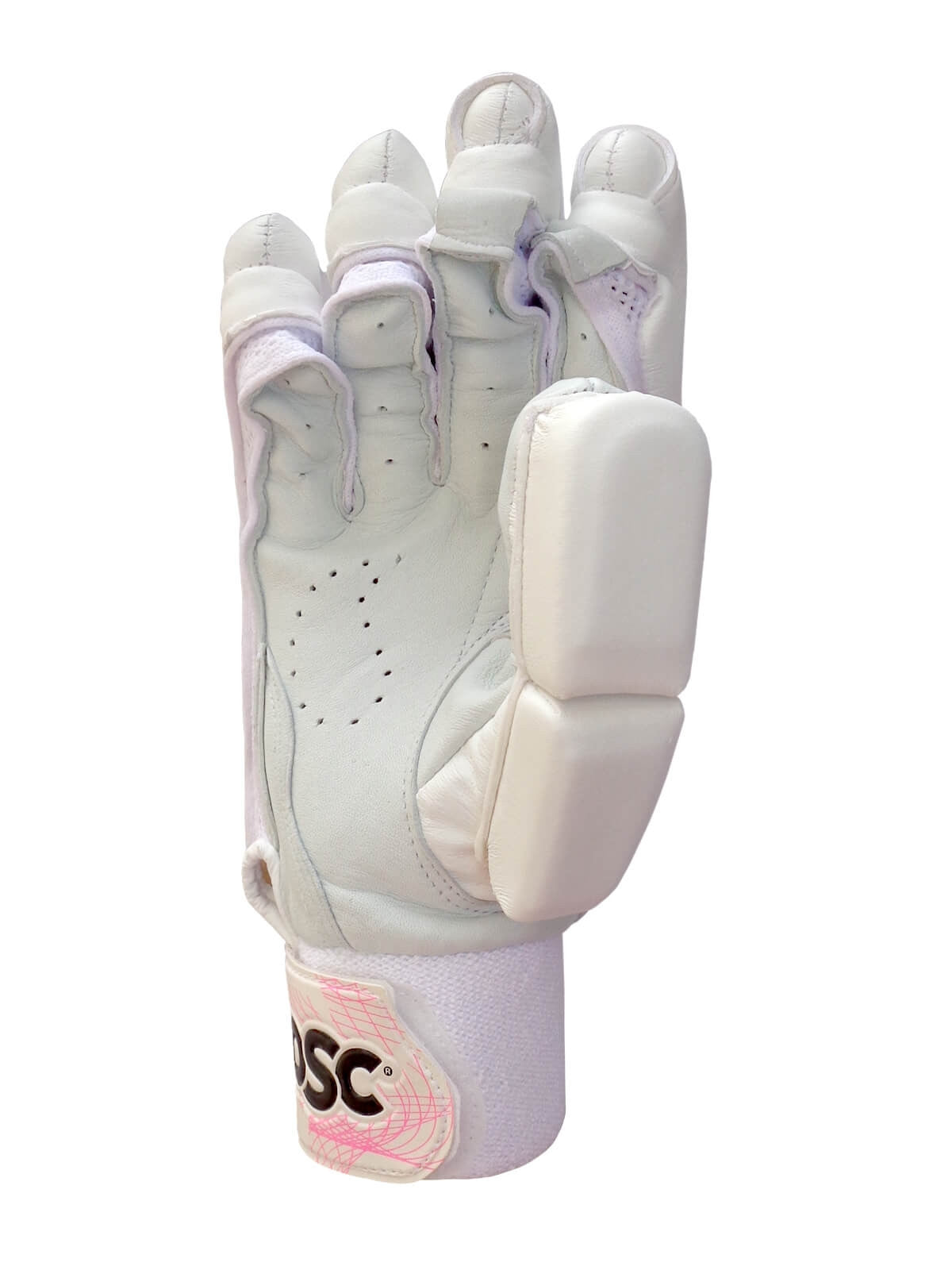 DSC Cricket Batting Gloves SN74 Player Edition