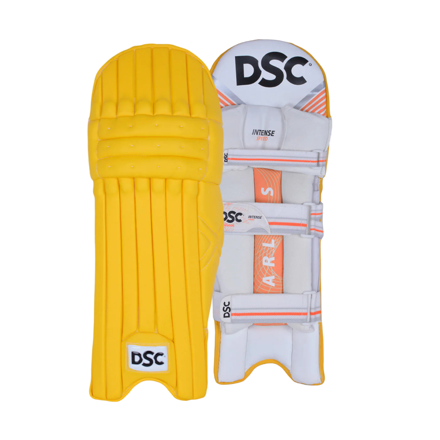 DSC Batting Pads Intense SHOC