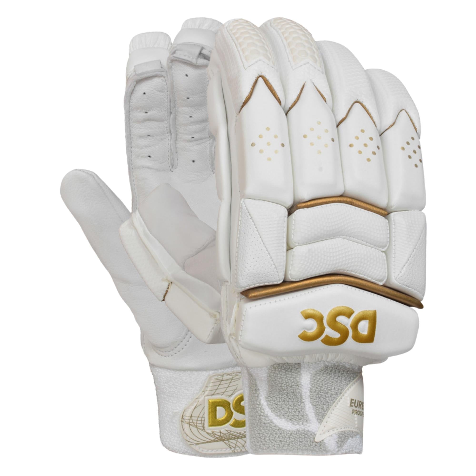 DSC Batting Gloves Eureka Prospect