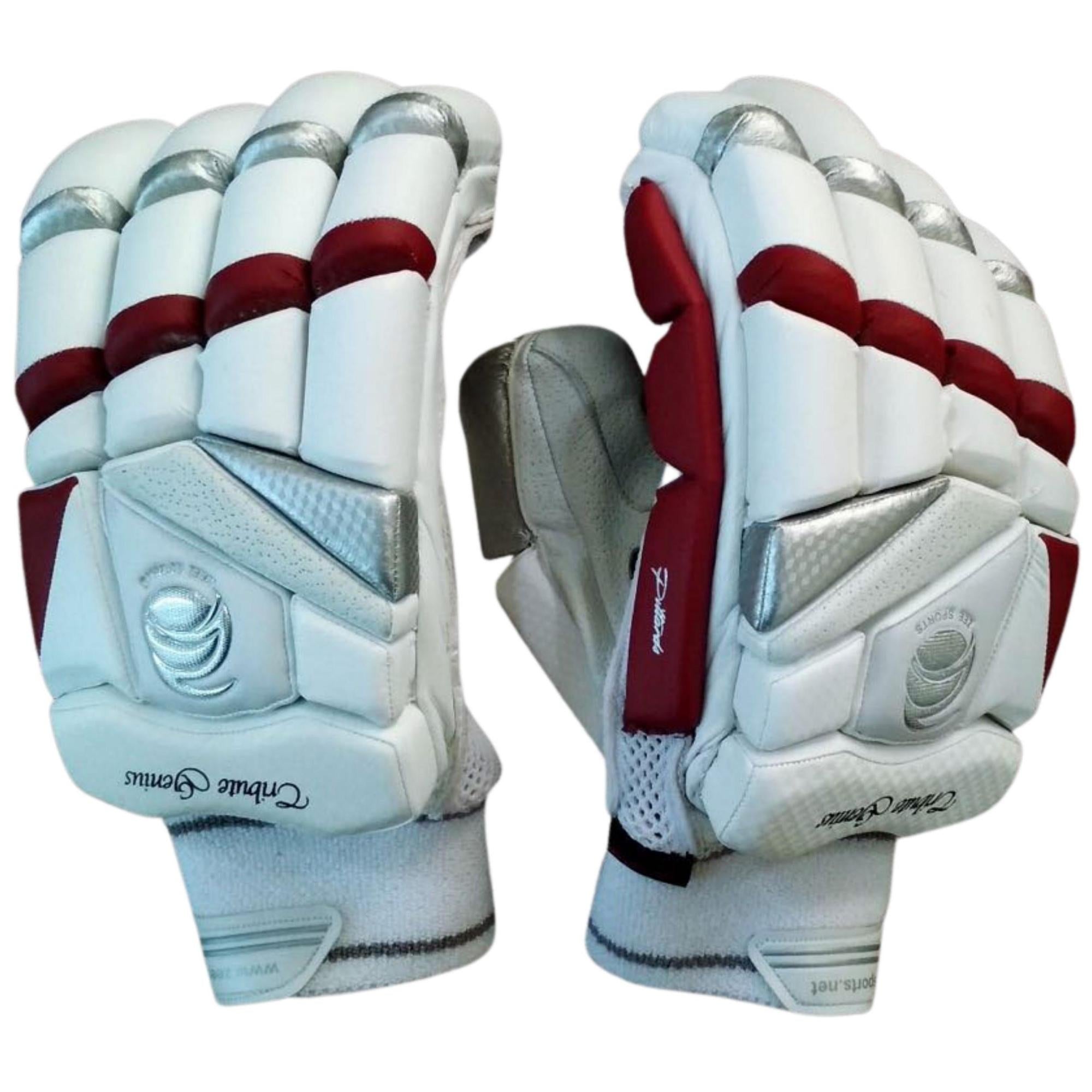 Zee Sports Tribute Genius Batting Gloves