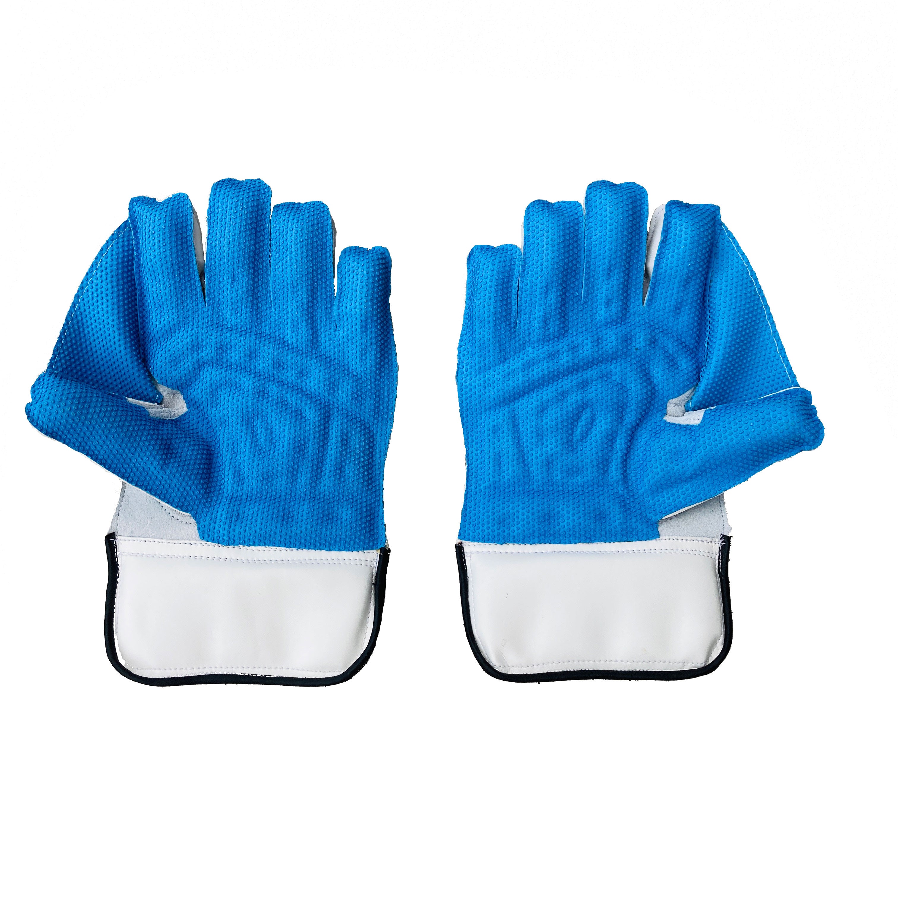 SS Wicket Keeping Gloves | SS Dragon
