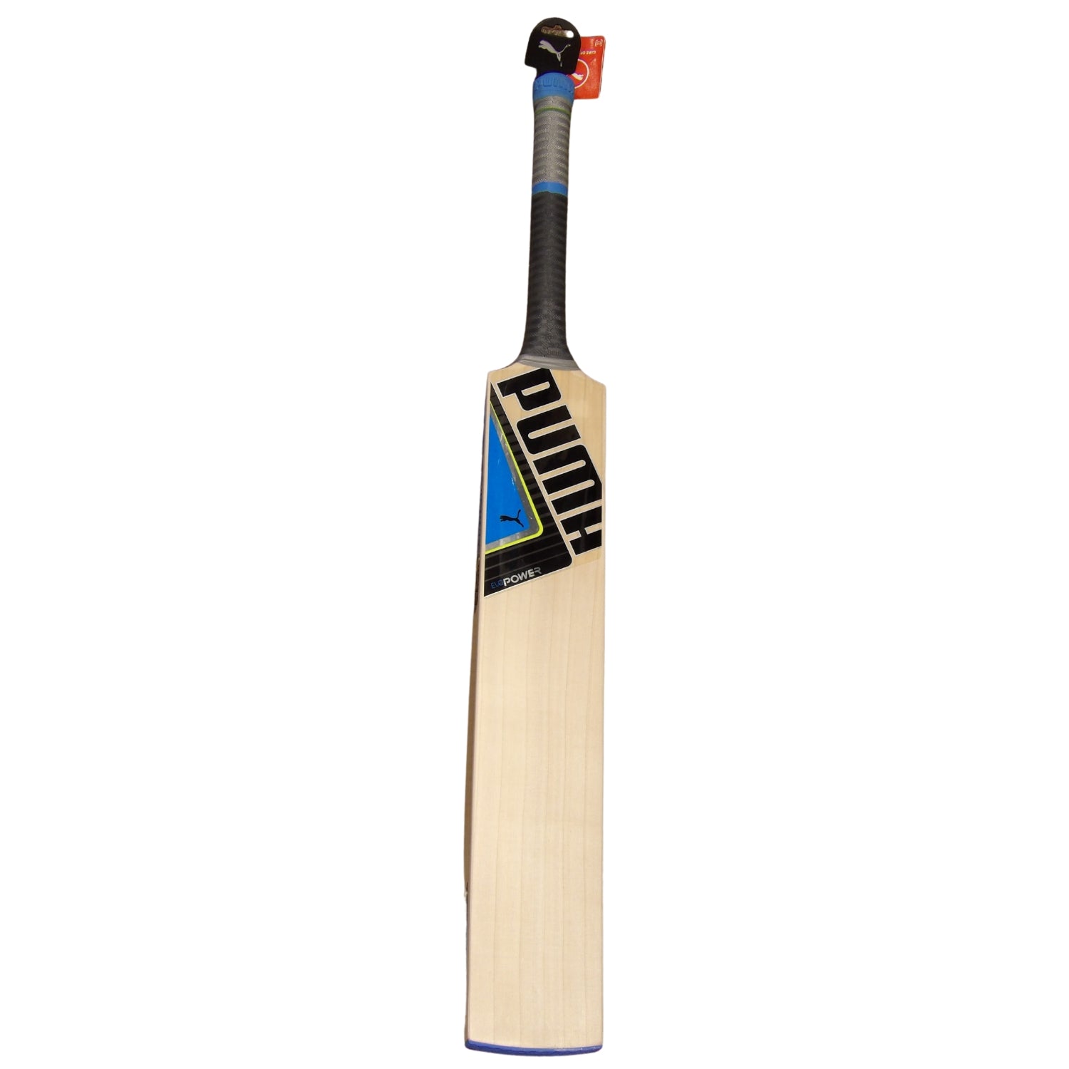 Puma Evo Power Cricket Bat | Blue | SH
