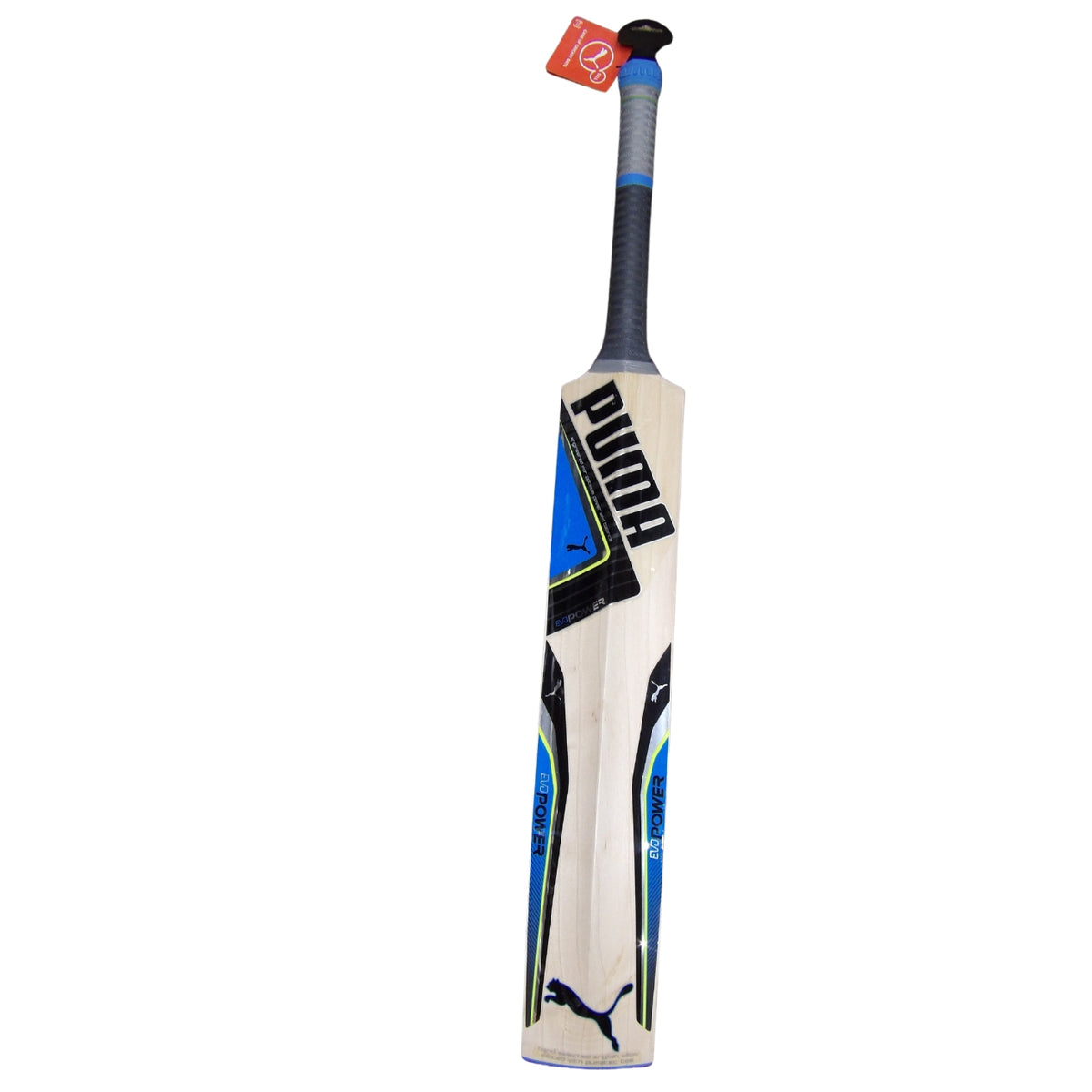 Puma Evo Power Cricket Bat, Blue