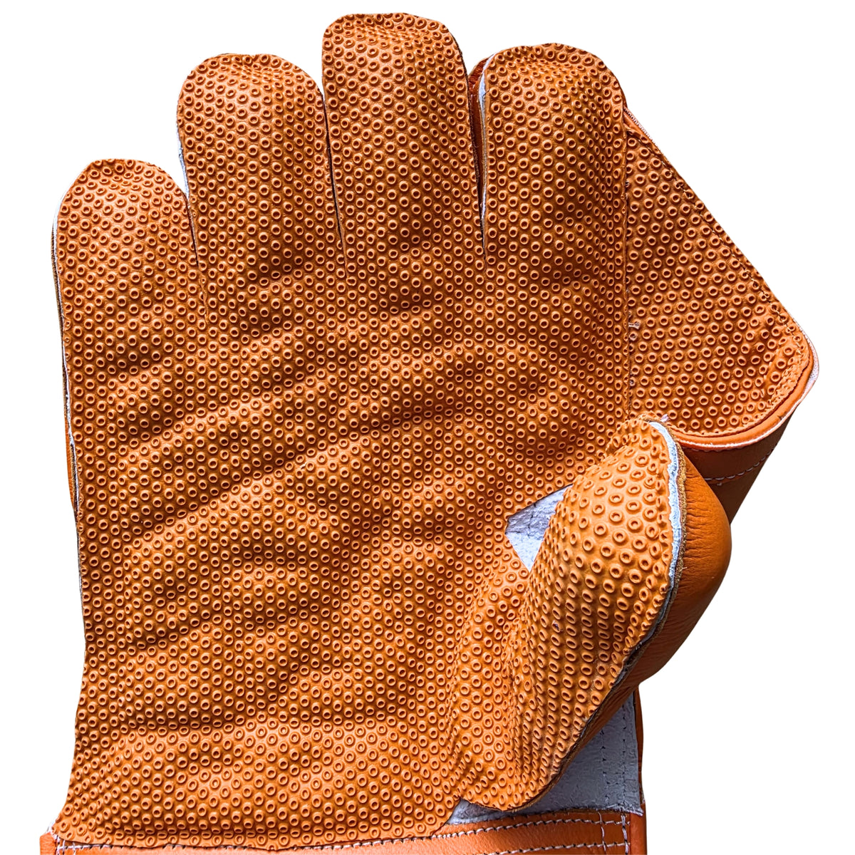 SG Wicket Keeping Gloves KLR 1
