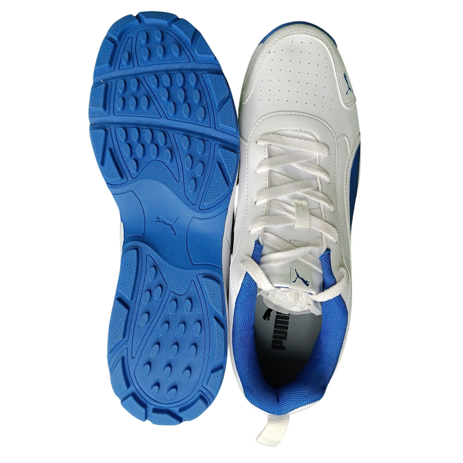 Puma Cricket Shoes, Model Classic Cat, White/Blue