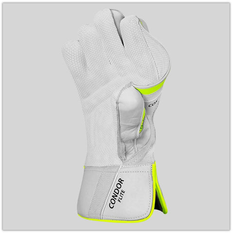 DSC Wicket Keeping Gloves Condor Flite