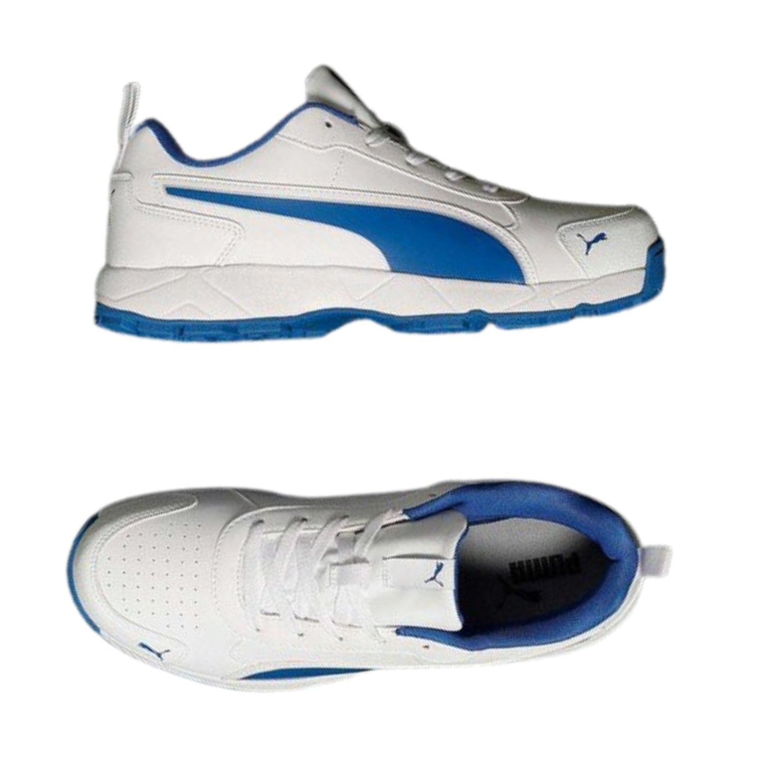 Puma Cricket Shoes, Model Classic Cat, White/Blue