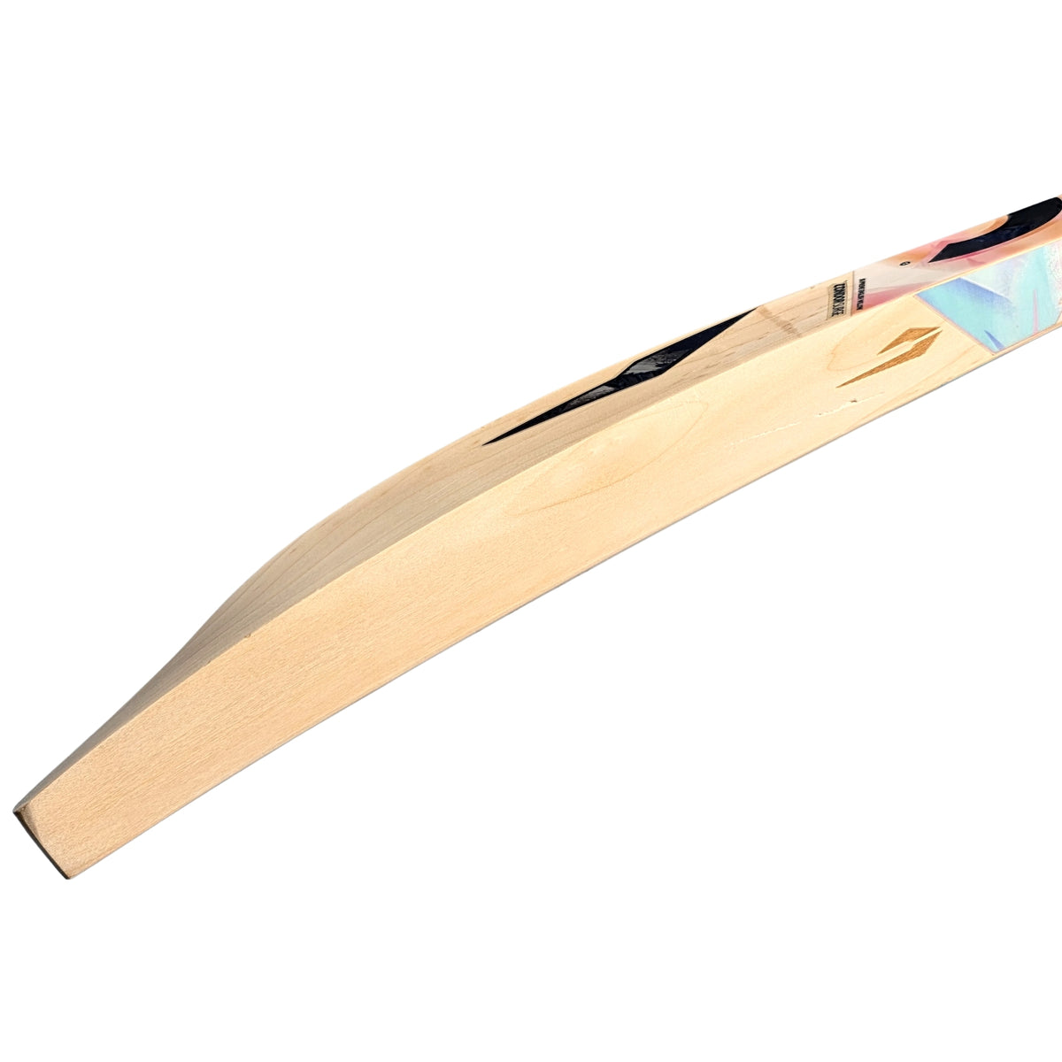 DSC Cricket Bat Condor Surge English Willow SH Adult