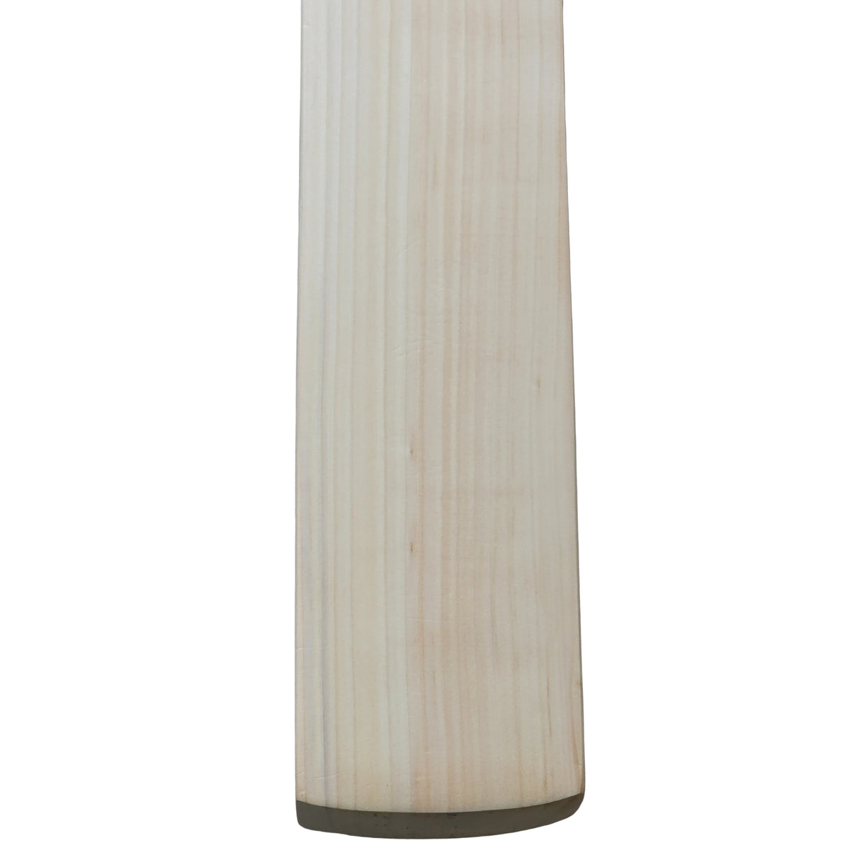 DSC Cricket Bat Blu222 Custom Made English Willow SH Adult - image 10