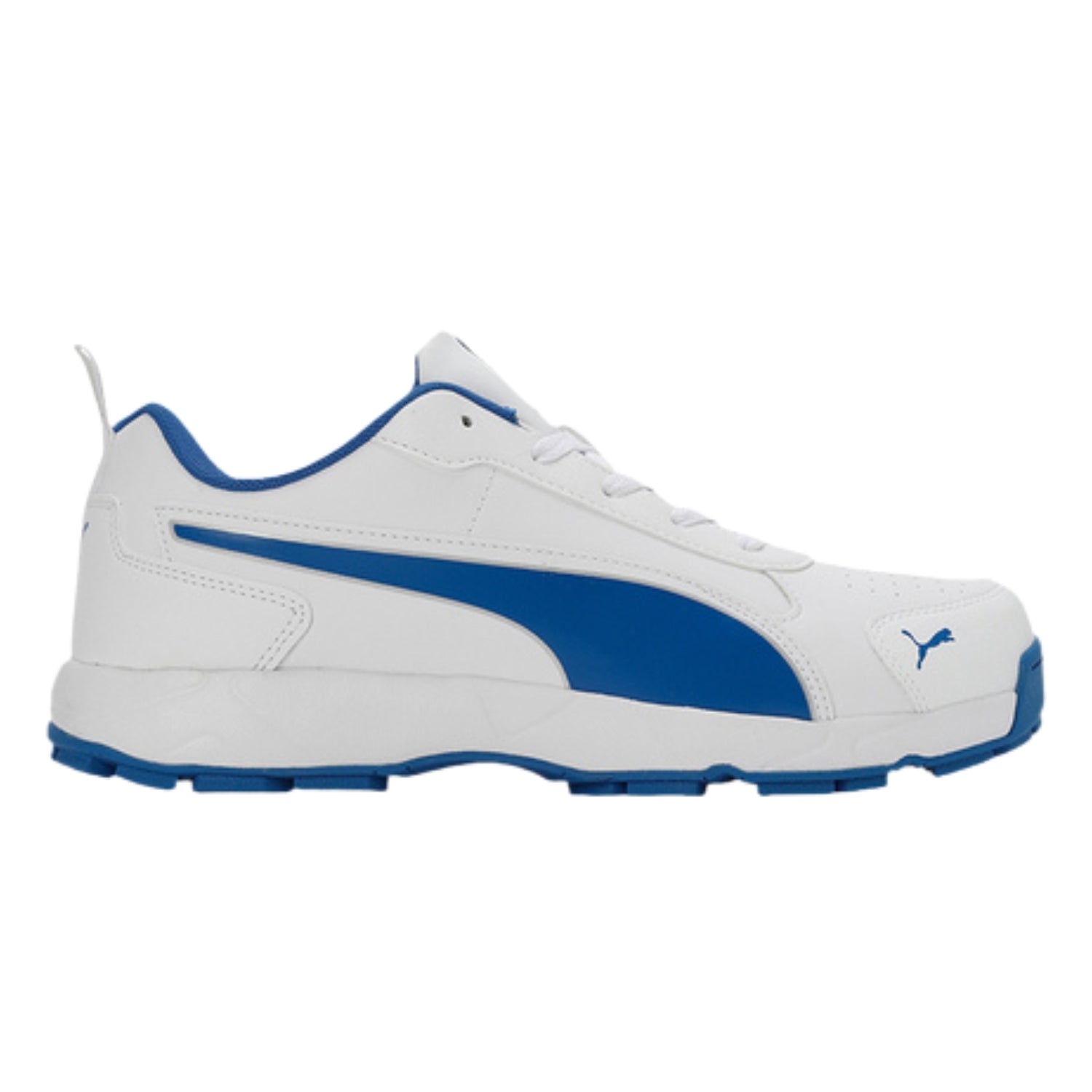 Puma Cricket Shoes, Model Classic Cat, White/Blue