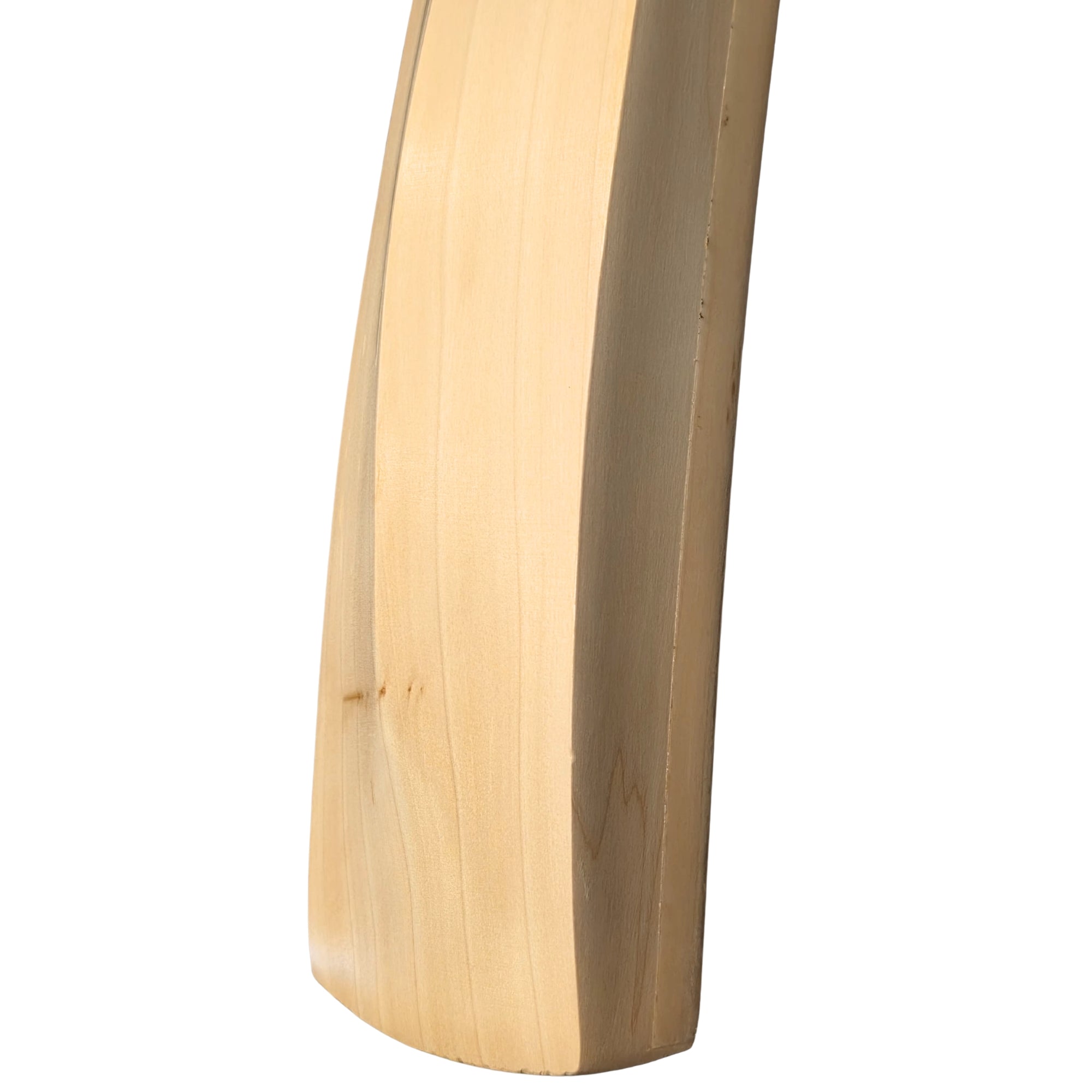 DSC Cricket Bat Blak 65 English Willow SH