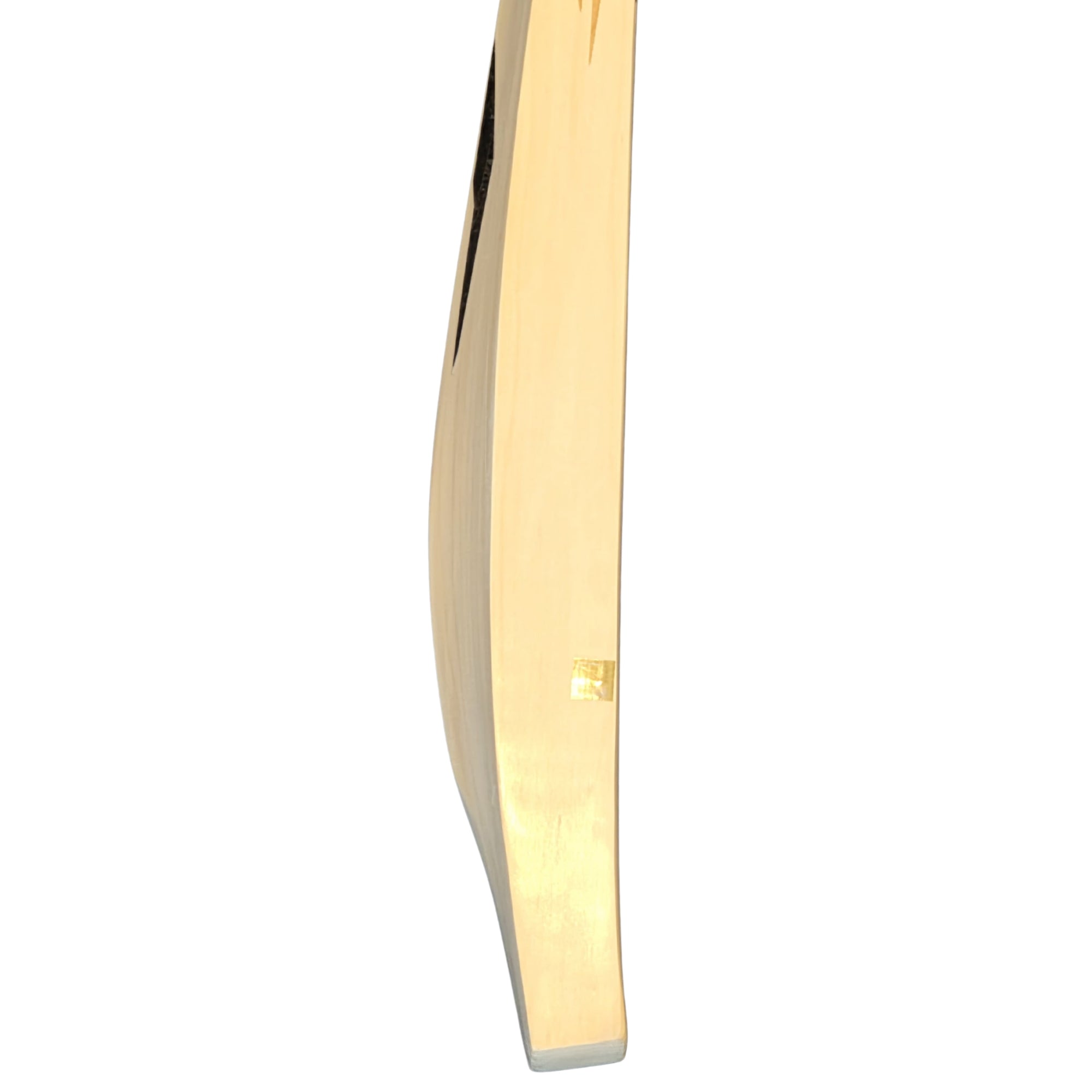 DSC Cricket Bat Blak 222 English Willow SH