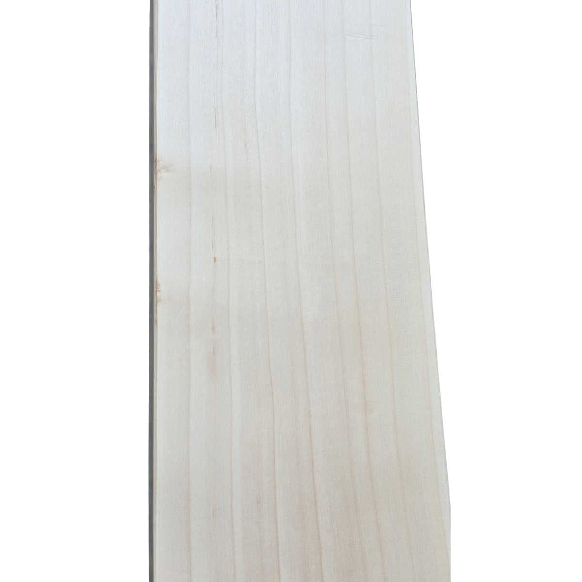 DSC Cricket Bat Spliit 450 English Willow SH Adult
