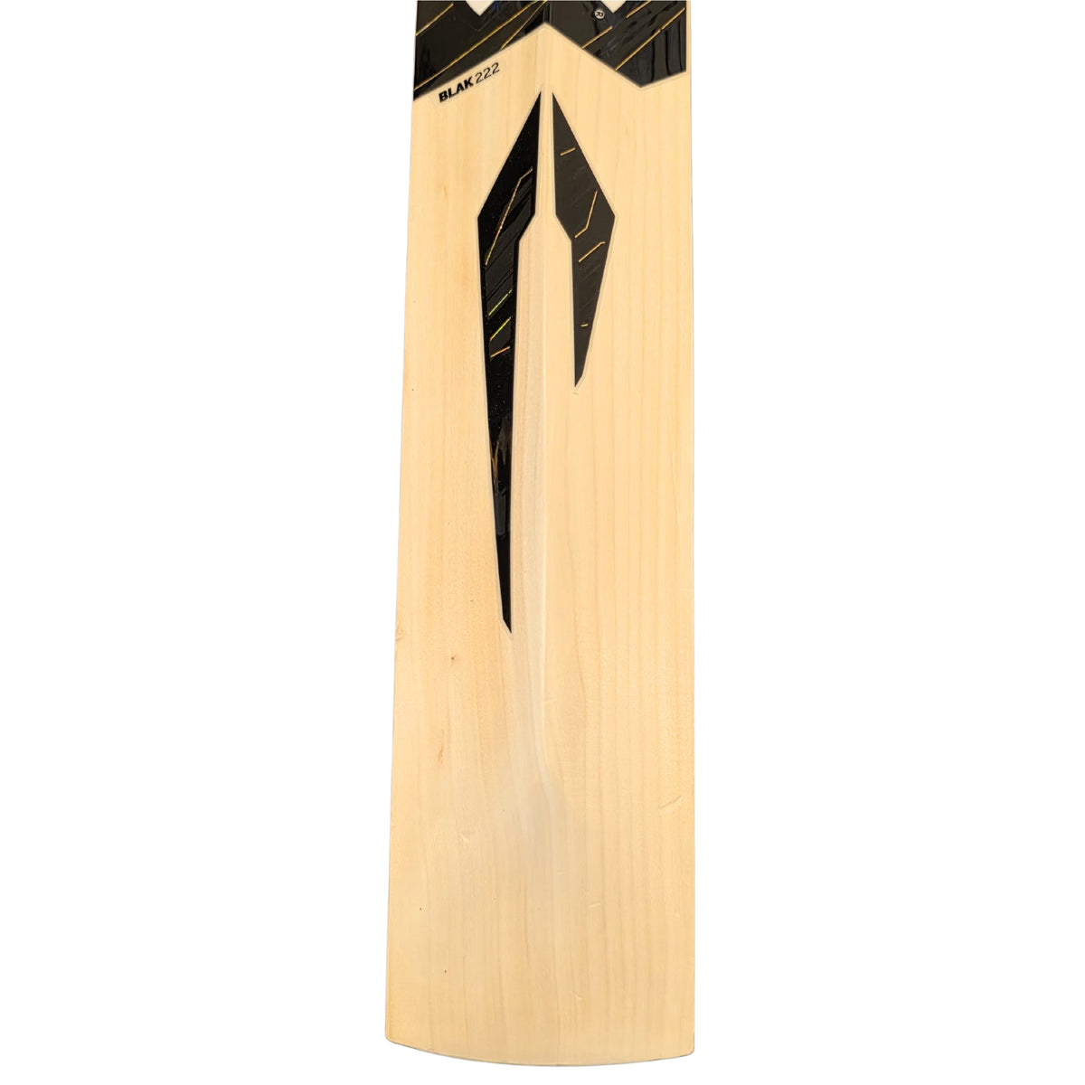 DSC Cricket Bat Blak 222 English Willow SH