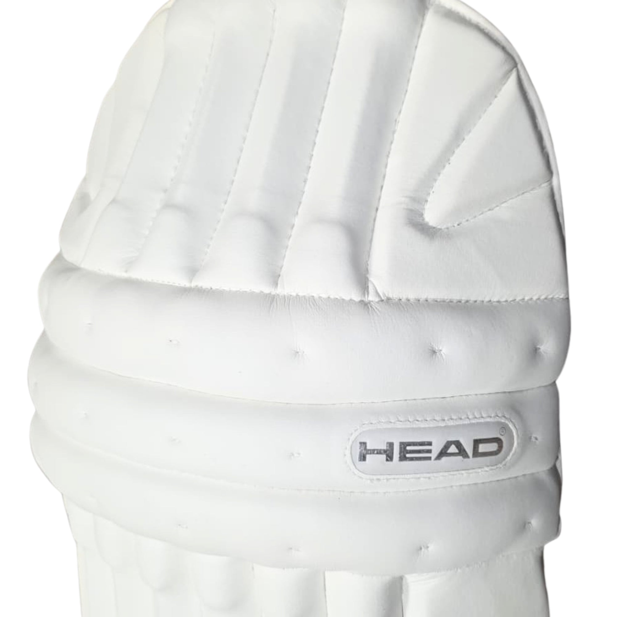 05112025 HEAD Batting Pads Challanger
