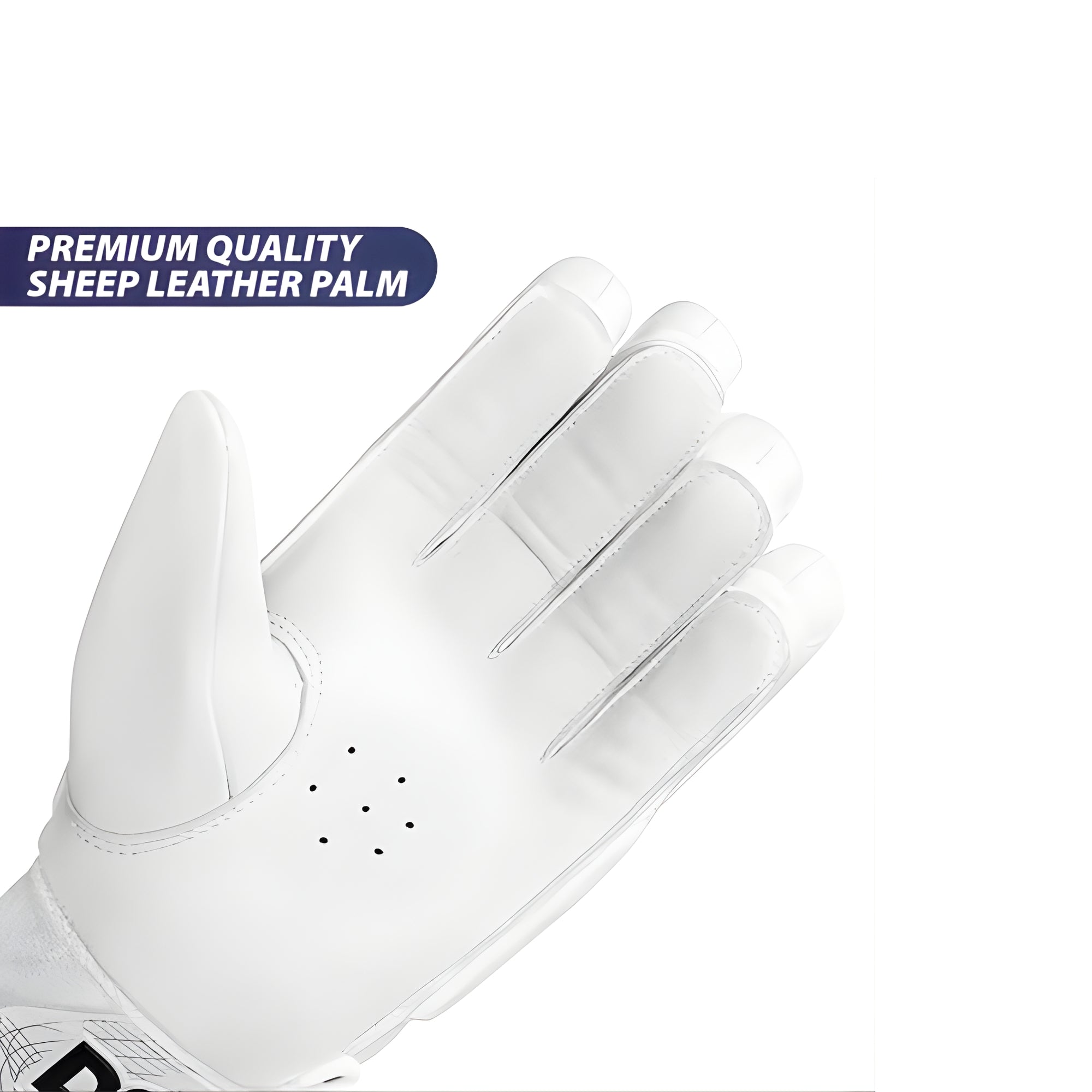 DSC Batting Gloves Condor Surge 2.0 Size