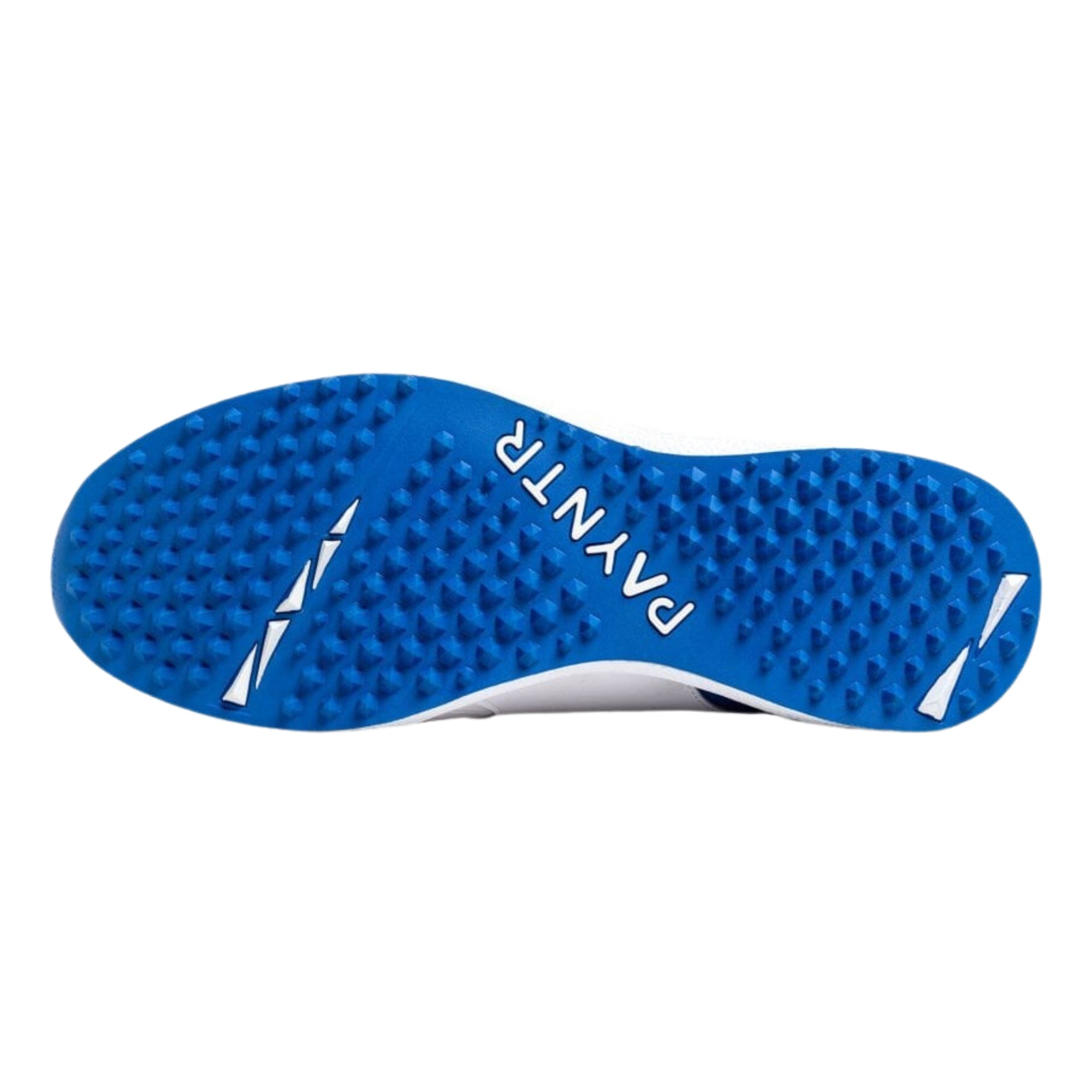 Payntr Cricket Shoes, Model V Pimple - White/Blue