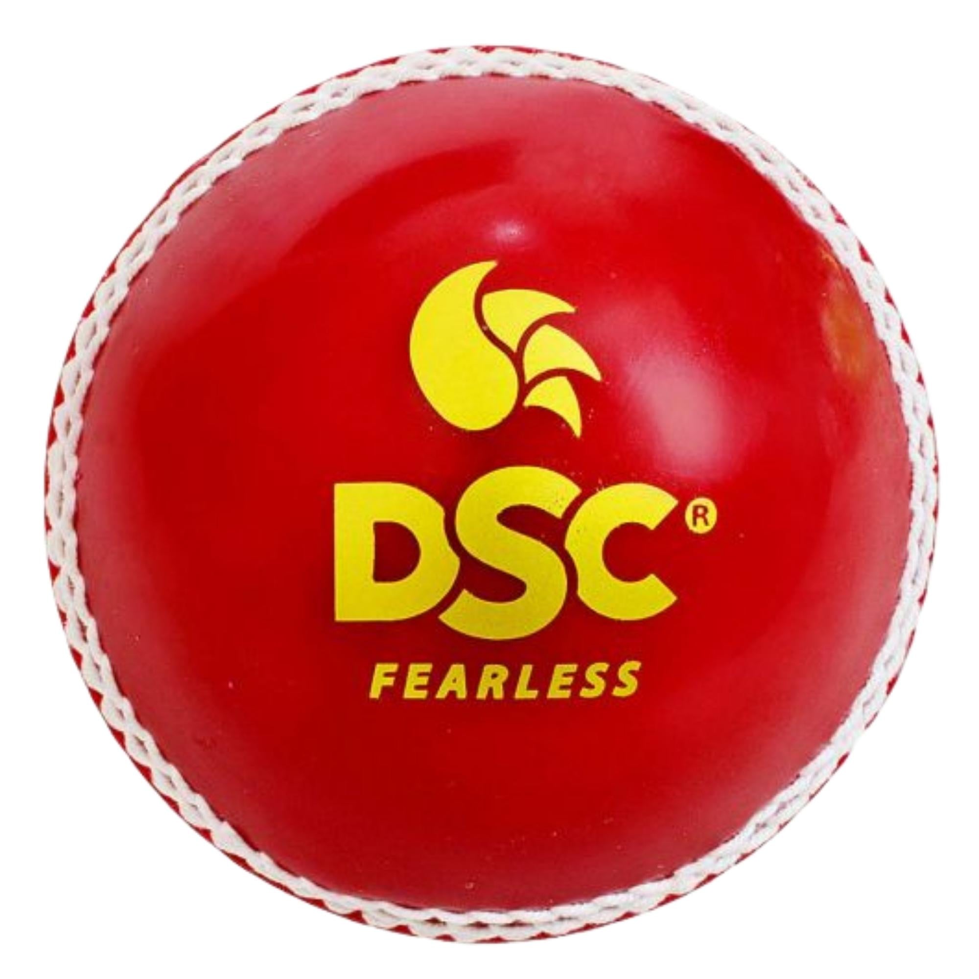 DSC Marathon Training Red Ball Vinyl Balls