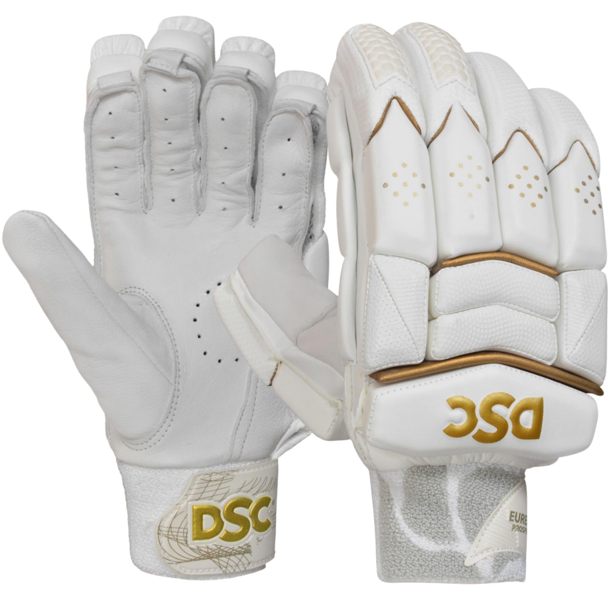 DSC Batting Gloves Eureka Prospect