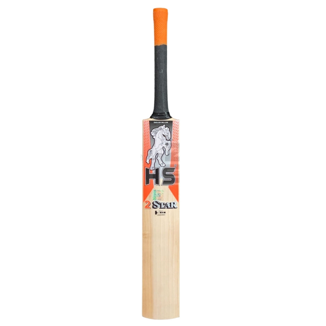 HS 2 Star English Willow Cricket Bat